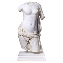 Aphrodite Torso Statue 'Ephesus Museum' Compressed Marble Powder