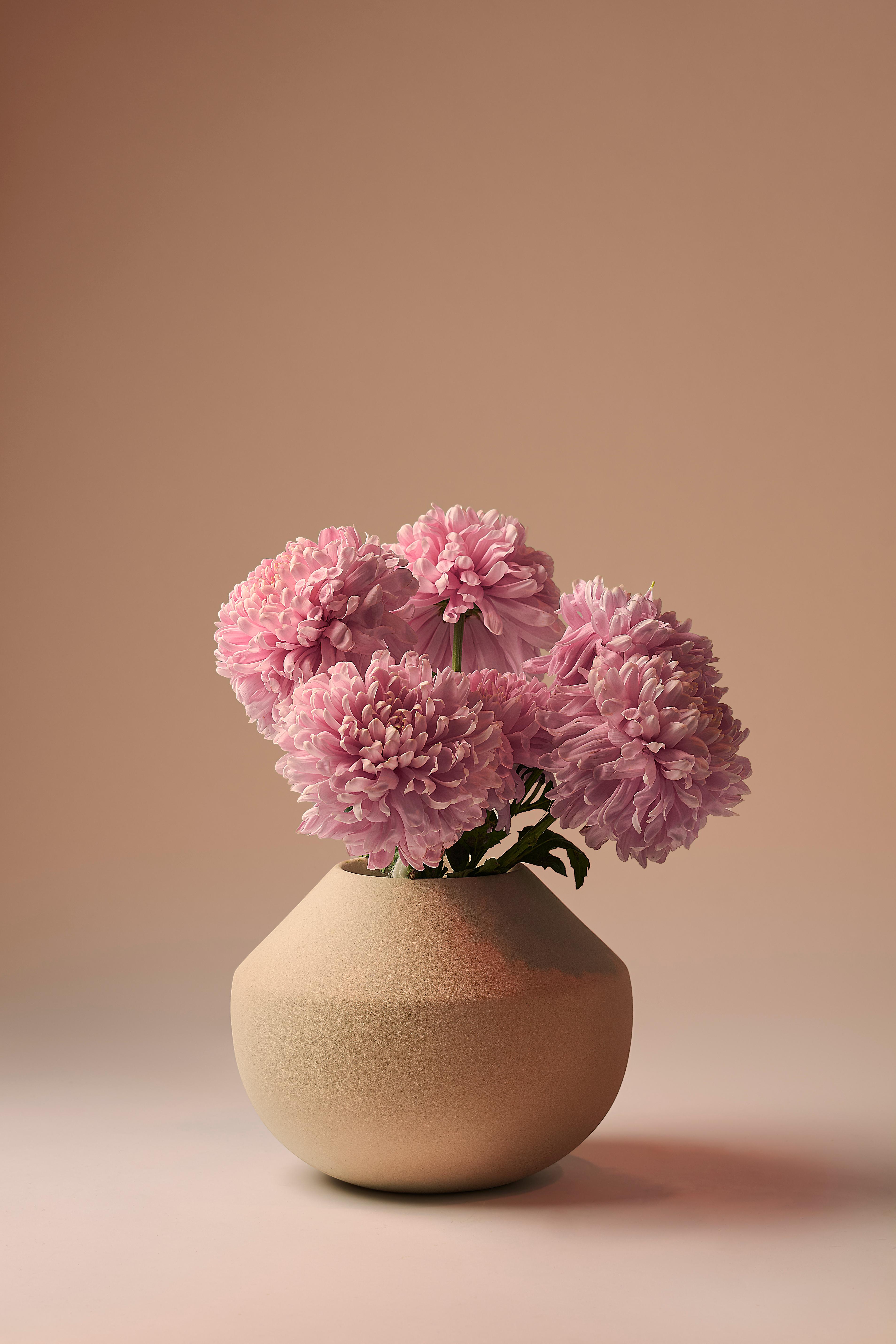 Modern Apo Vase by Lilia Cruz Corona Garduño For Sale