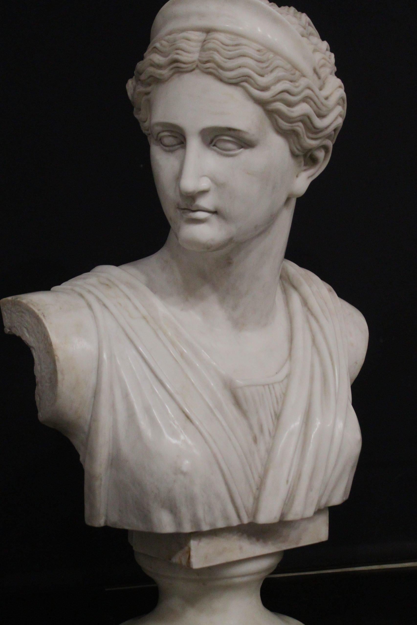 Apollo and Diana, pair of large marble busts, statuary marble In condizioni buone in vendita a Rome, IT