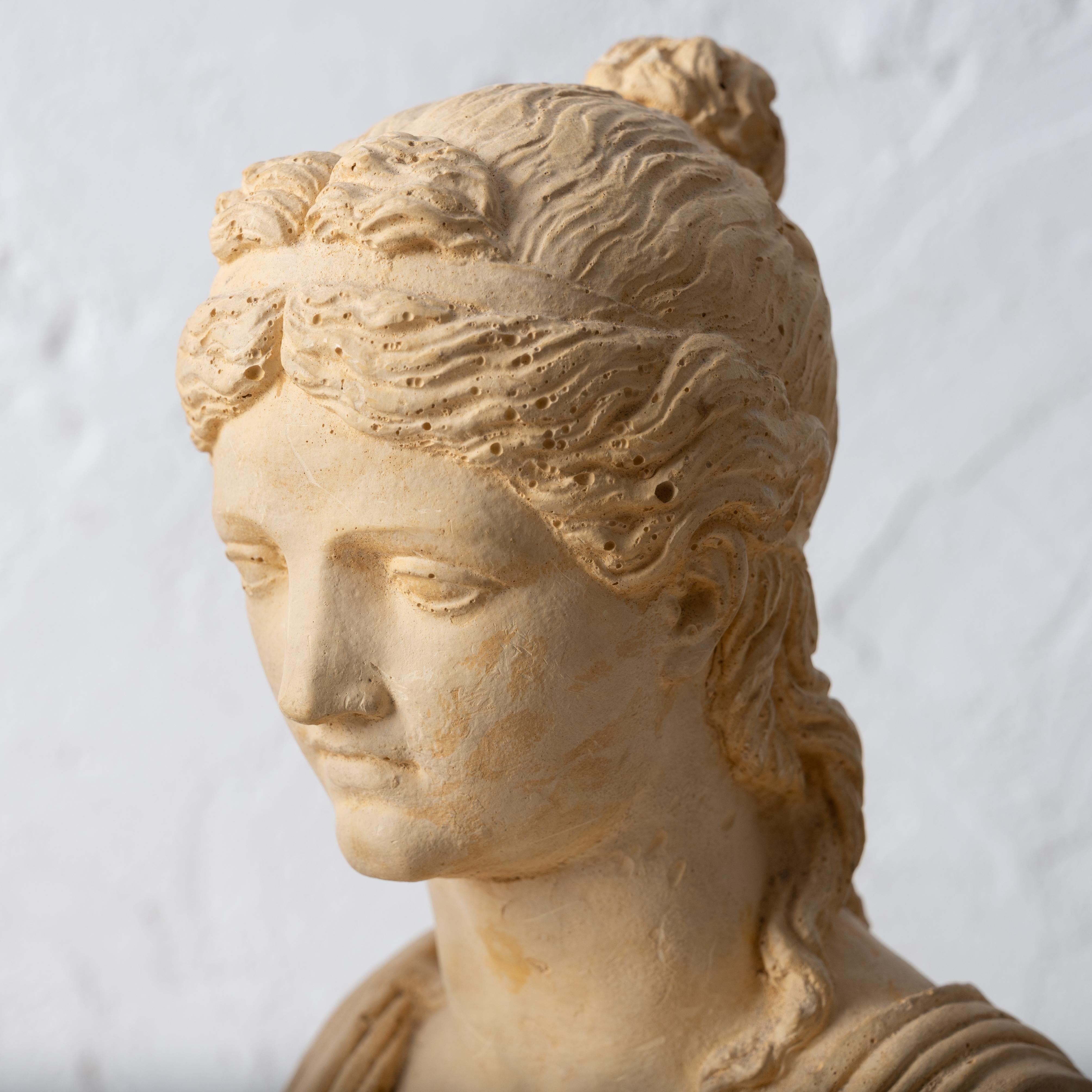 Busti in gesso di Apollo e Diana in vendita 1