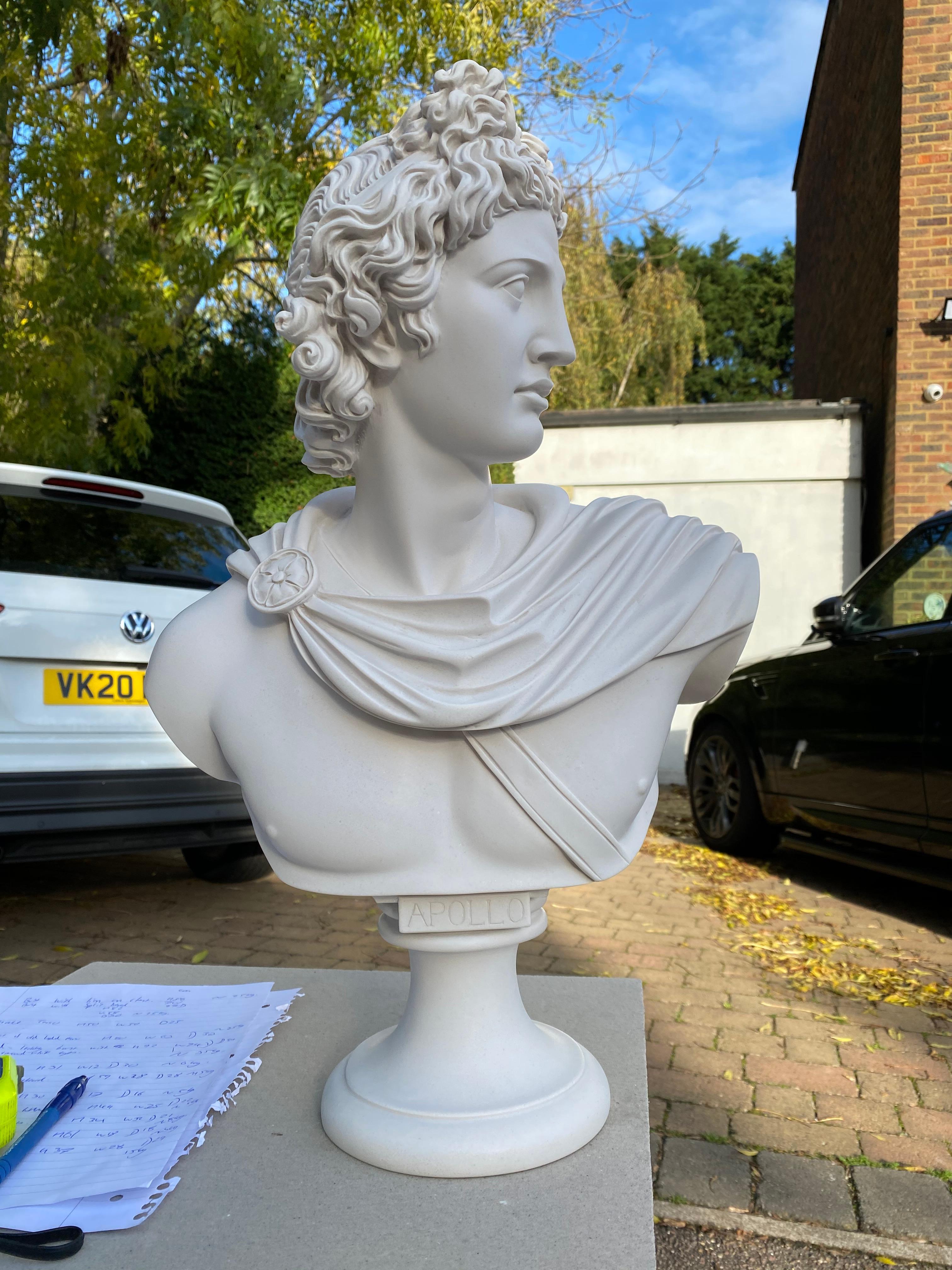 Questo busto di Apollo Belvedere del XX secolo cattura la bellezza e la grazia senza tempo dell'antico dio greco della musica, della poesia e delle arti. Ispirato alla famosa scultura classica, il busto presenta i tratti idealizzati di Apollo, tra