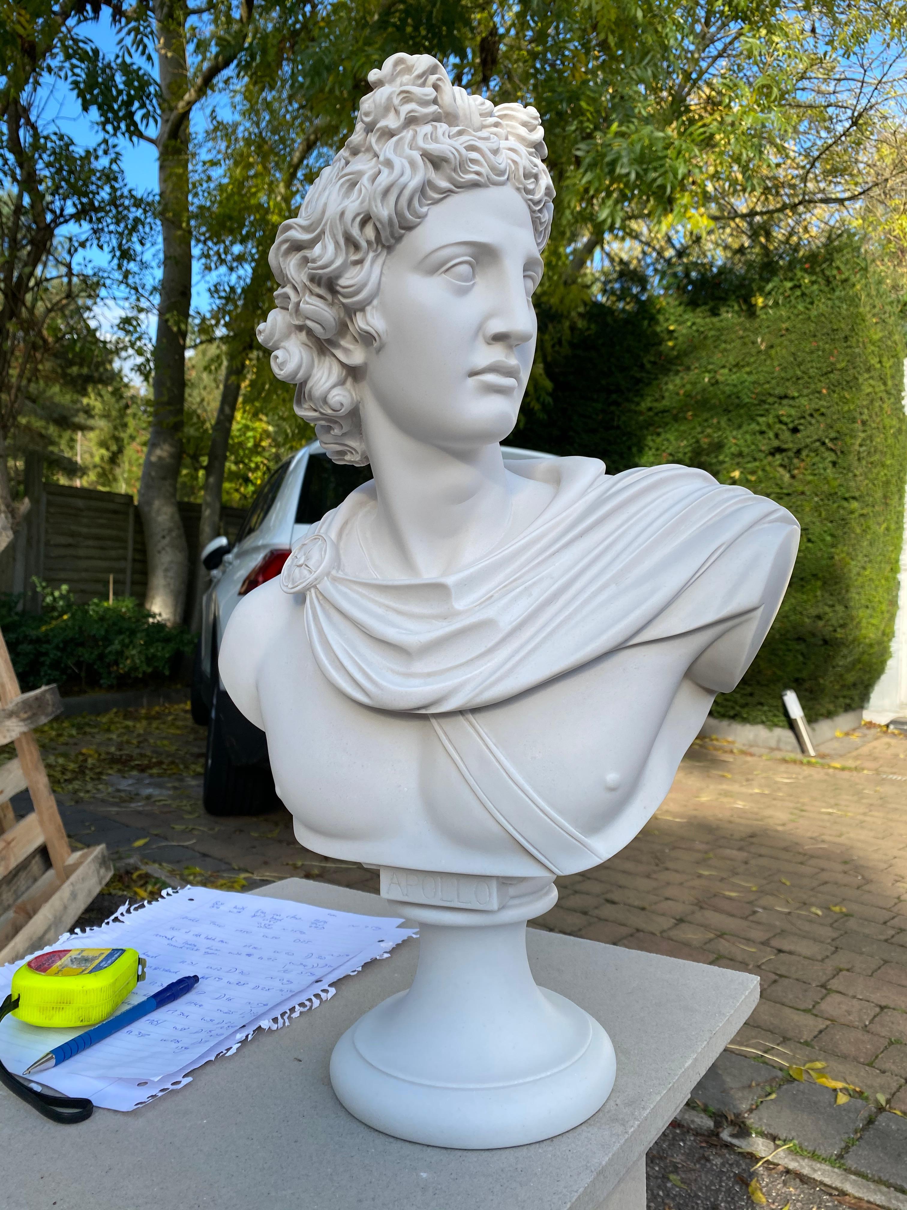 Europeo Busto di Apollo Belvedere - Scultura classica del XX secolo in vendita