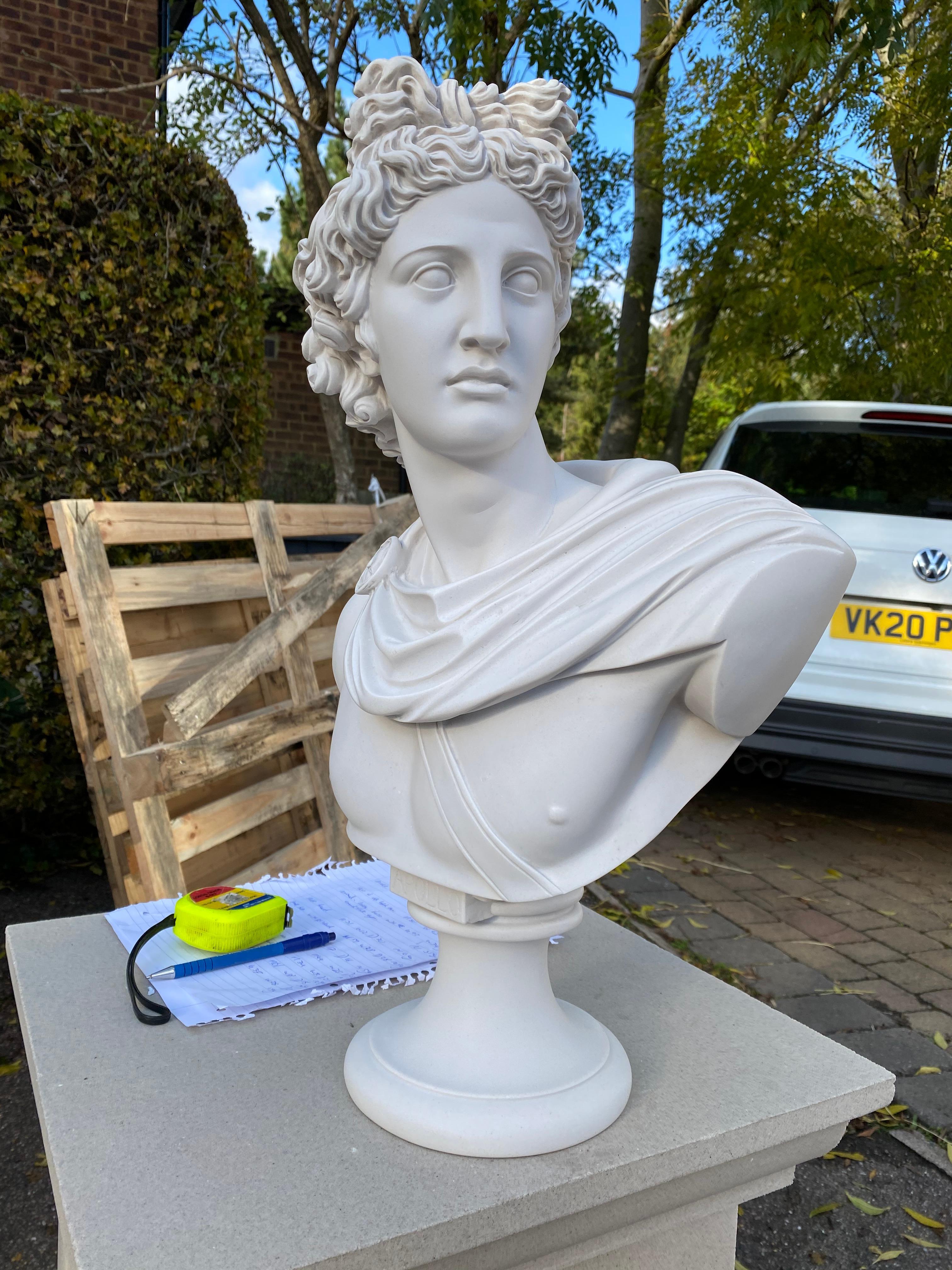 Busto di Apollo Belvedere - Scultura classica del XX secolo In condizioni ottime in vendita a Southall, GB
