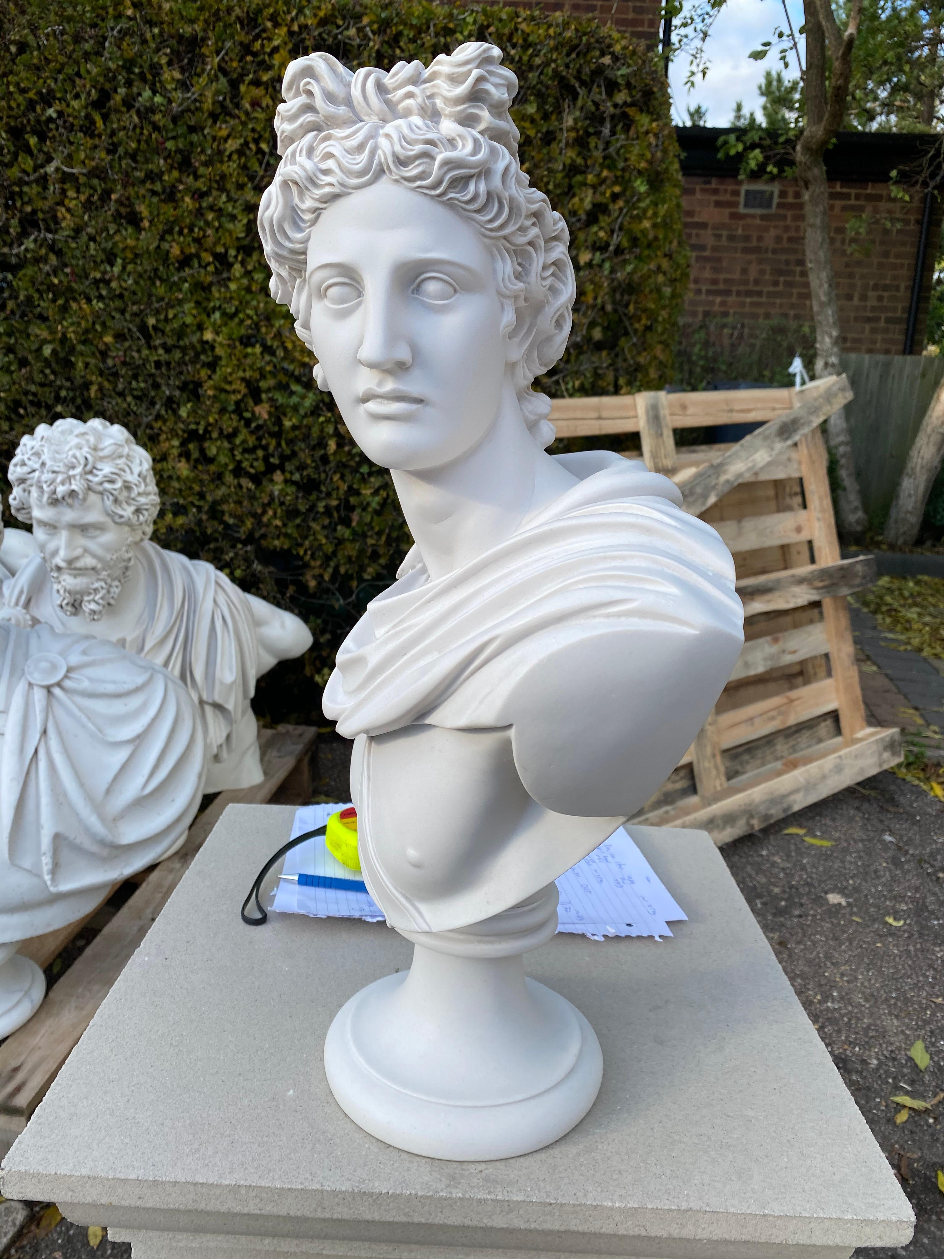 Marmo Busto di Apollo Belvedere - Scultura classica del XX secolo in vendita