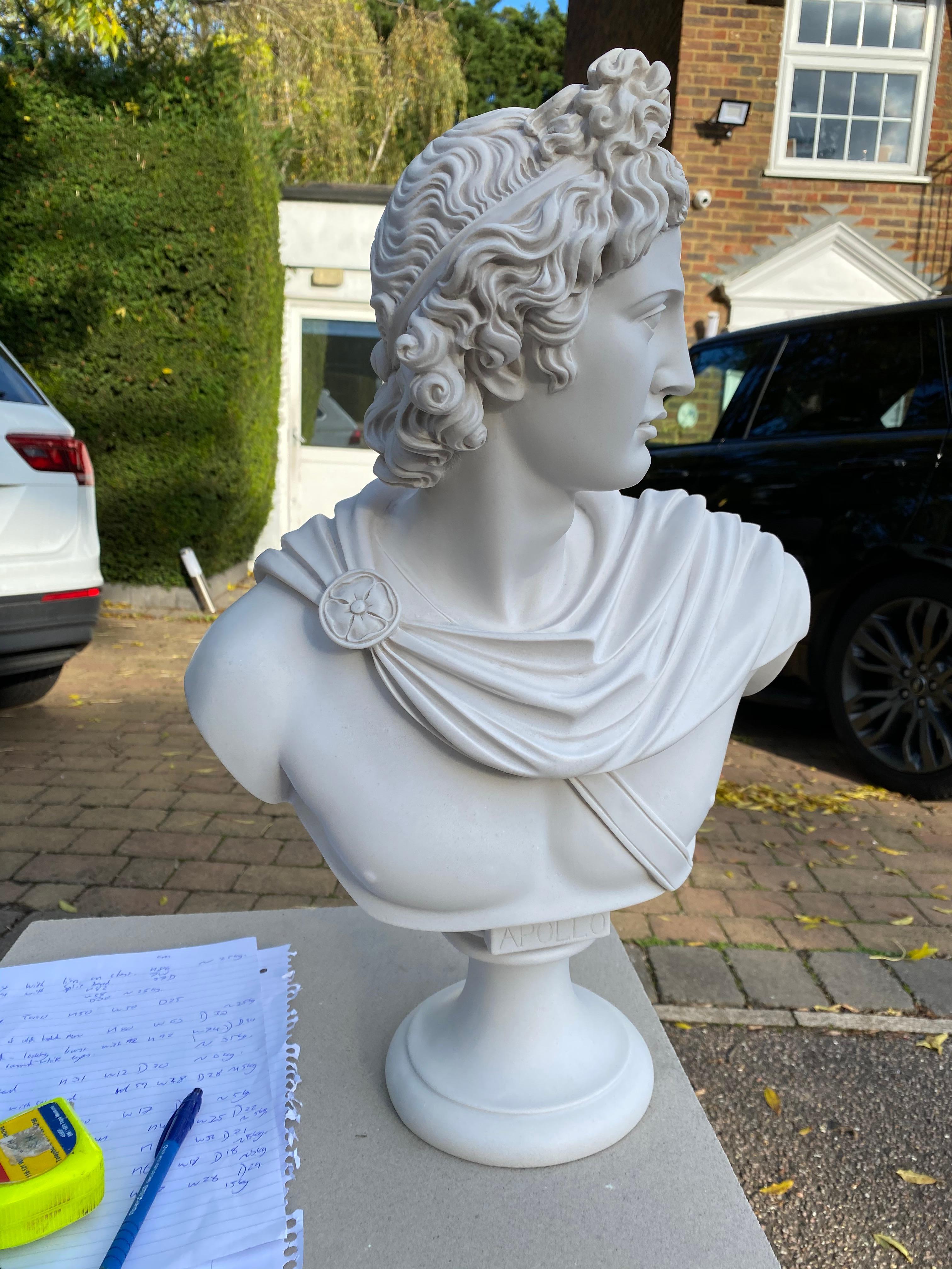Busto di Apollo Belvedere - Scultura classica del XX secolo in vendita 1