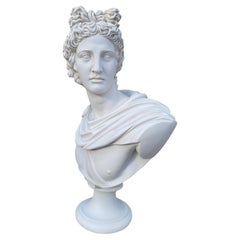 Apollo Belvedere Bust - 20th Century Classical Sculpture