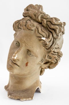 Apollo Belvedere Grand Tour Style Paster Bust
