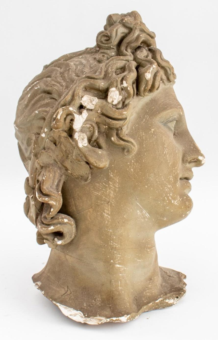 Classical Roman Apollo Belvedere Grand Tour Style Paster Bust