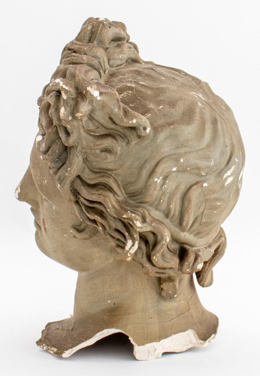 Apollo Belvedere Grand Tour Style Paster Bust 1