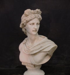 Apollo Belvedere aus Carrara-Marmor