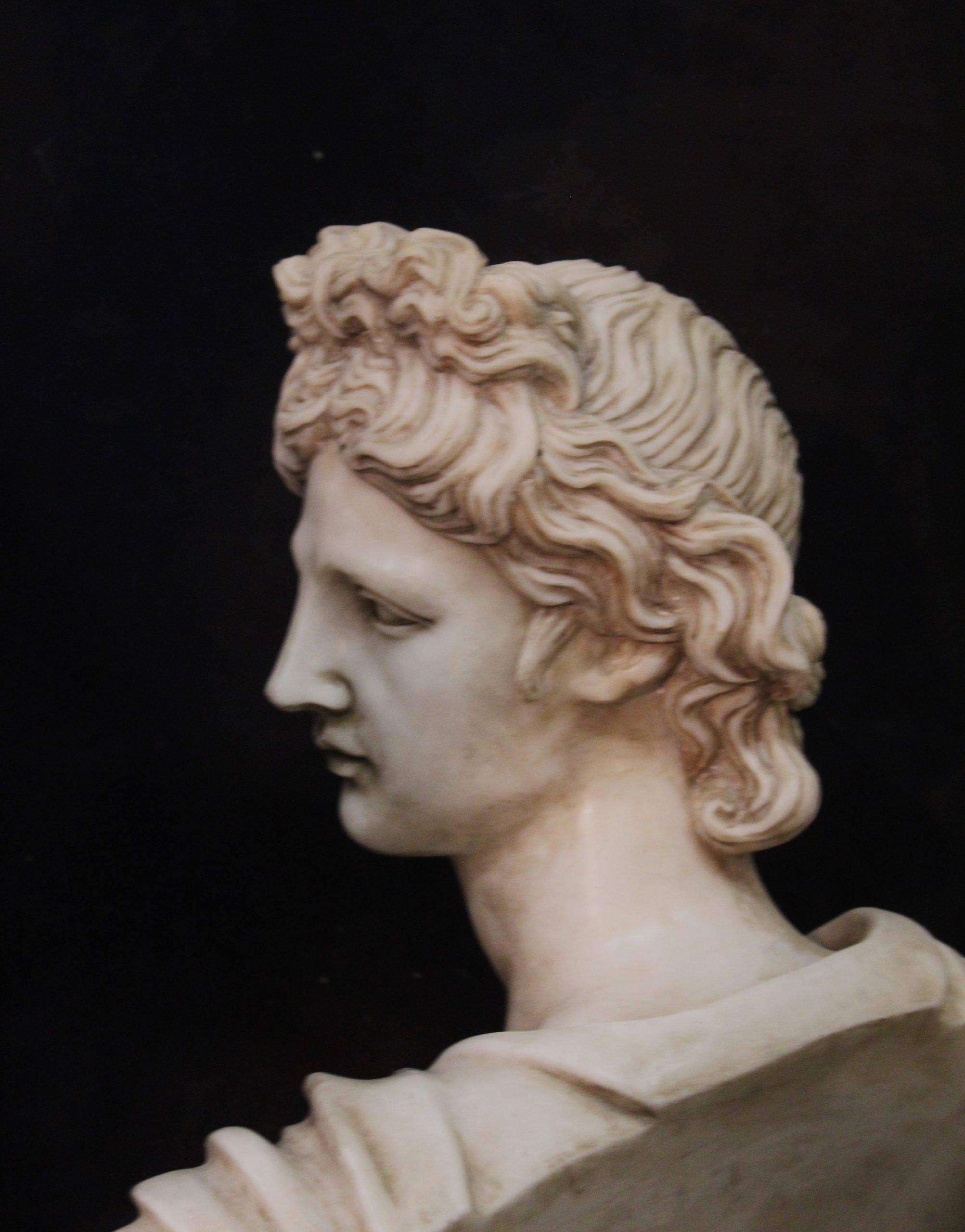 Italiano Apollo Belvedere in marmo di Carrara in vendita