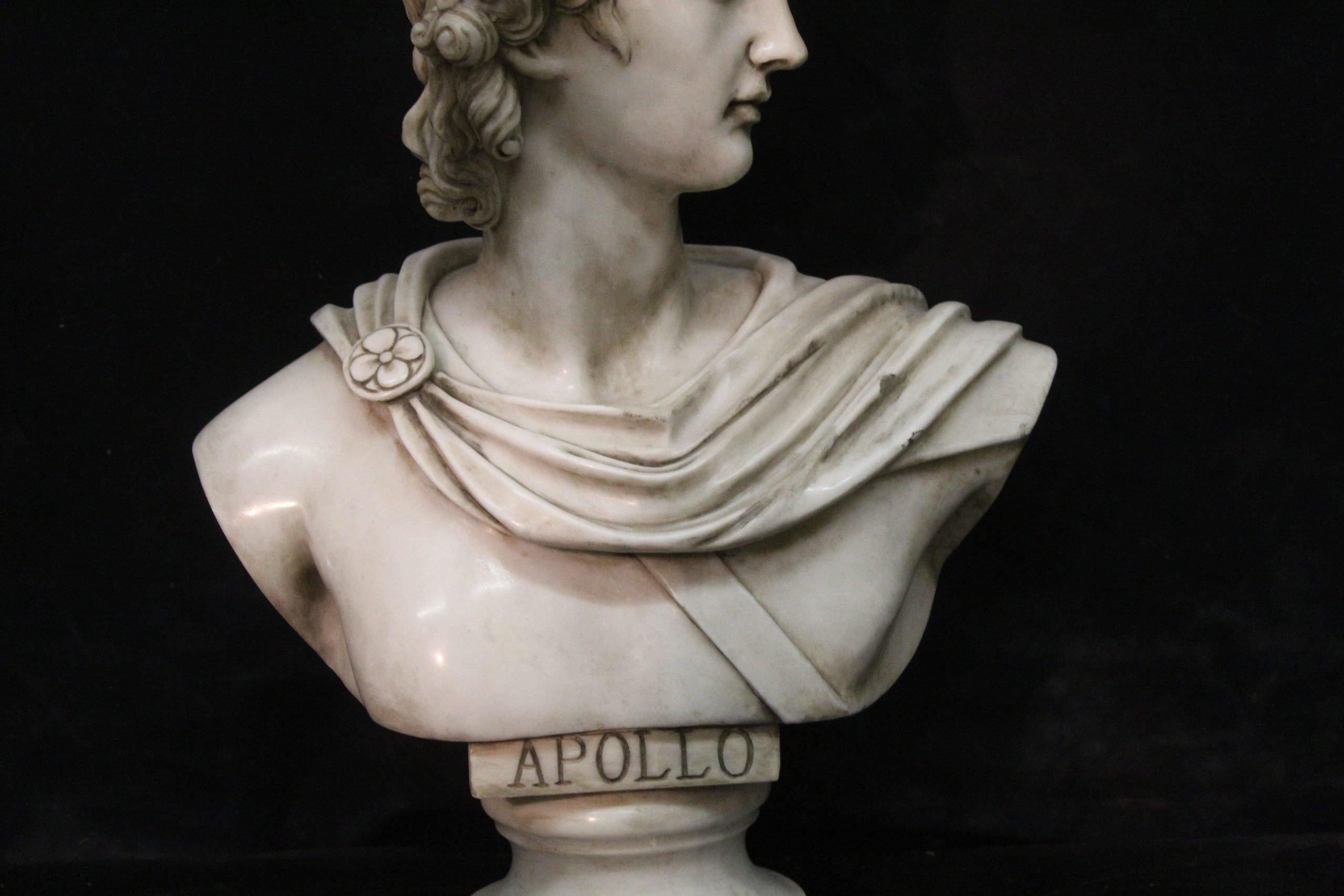 XX secolo Apollo Belvedere in marmo di Carrara in vendita