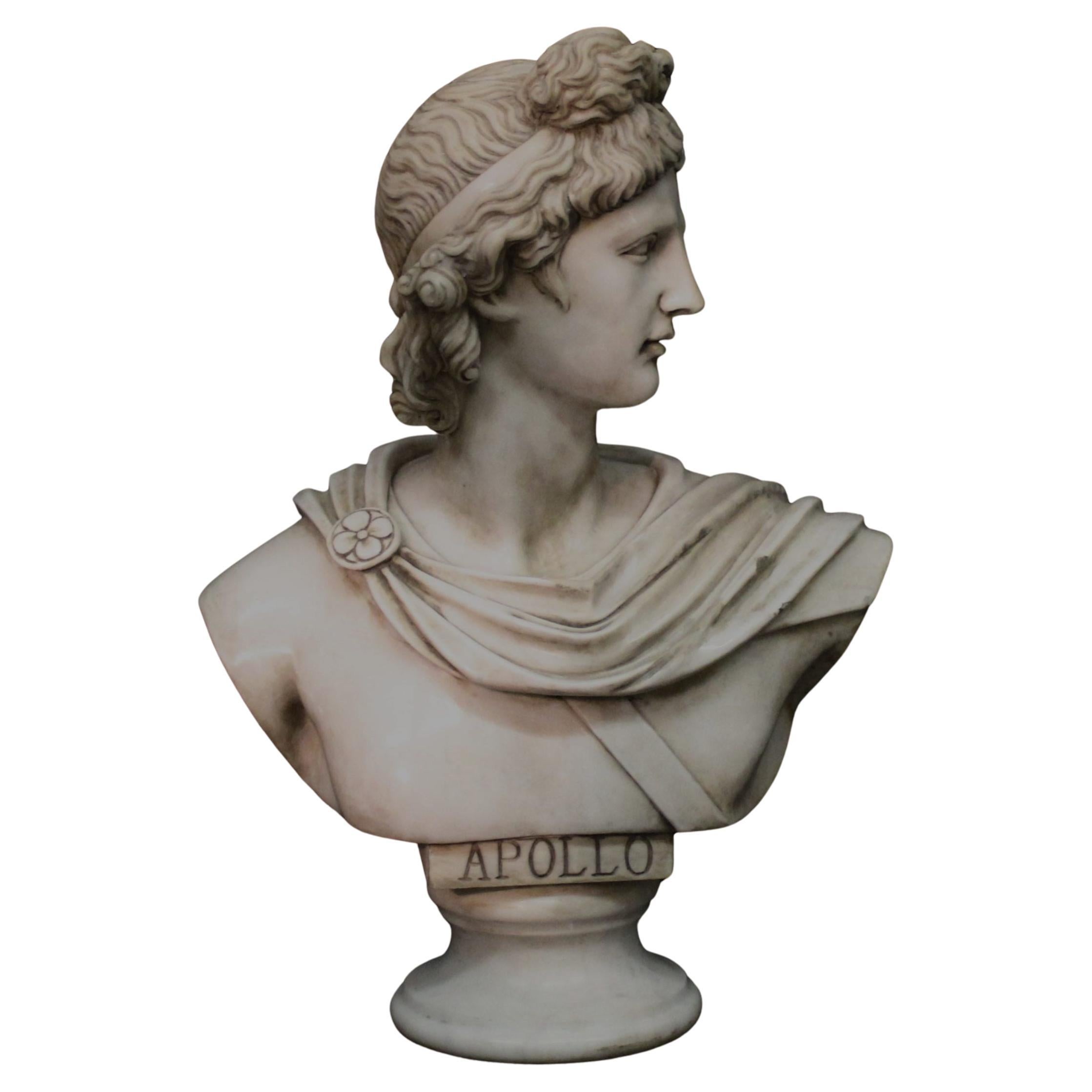 Apollo Belvedere aus Carrara-Marmor