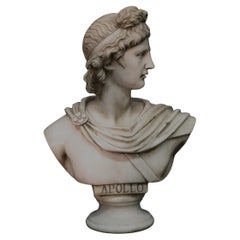 Vintage Apollo Belvedere in Carrara marble
