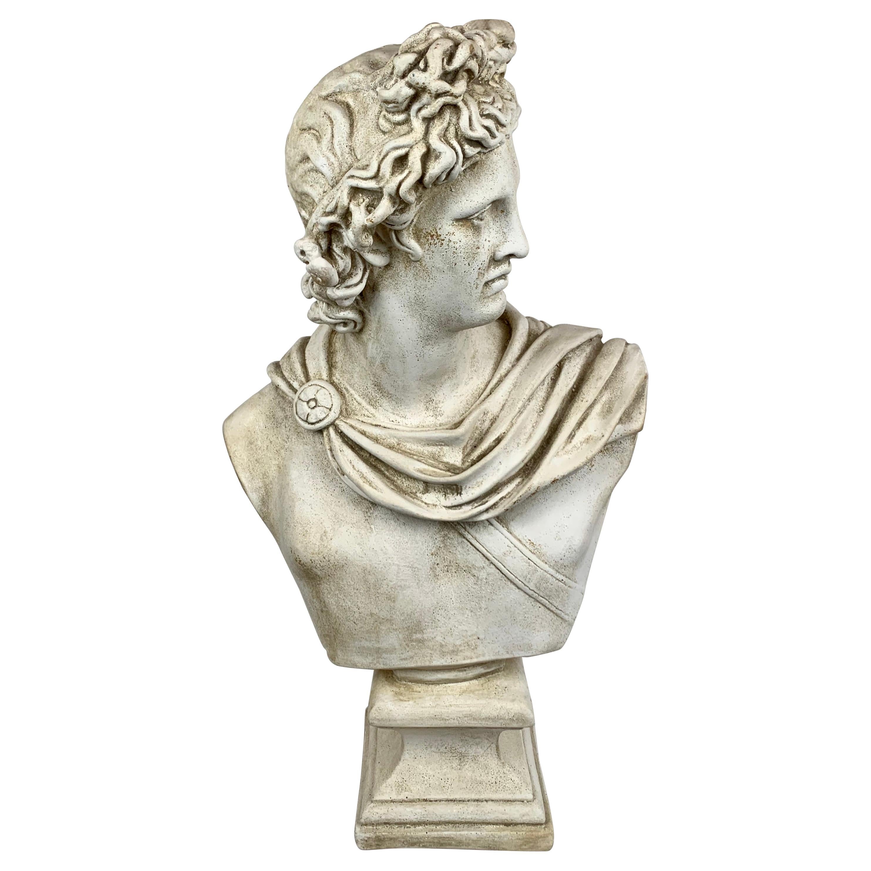 Twenty-Four Inch Tall Bust of the Apollo Belvedere in Plaster