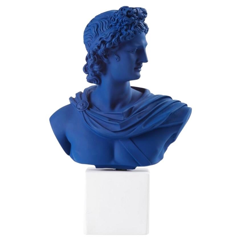 In Stock in Los Angeles, Apollo Bust Statue in Blue