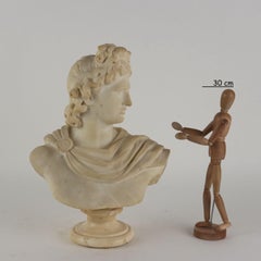Apollo del Belvedere Busto in Marmo Italia Fine XIX – Inizio XX Secolo
