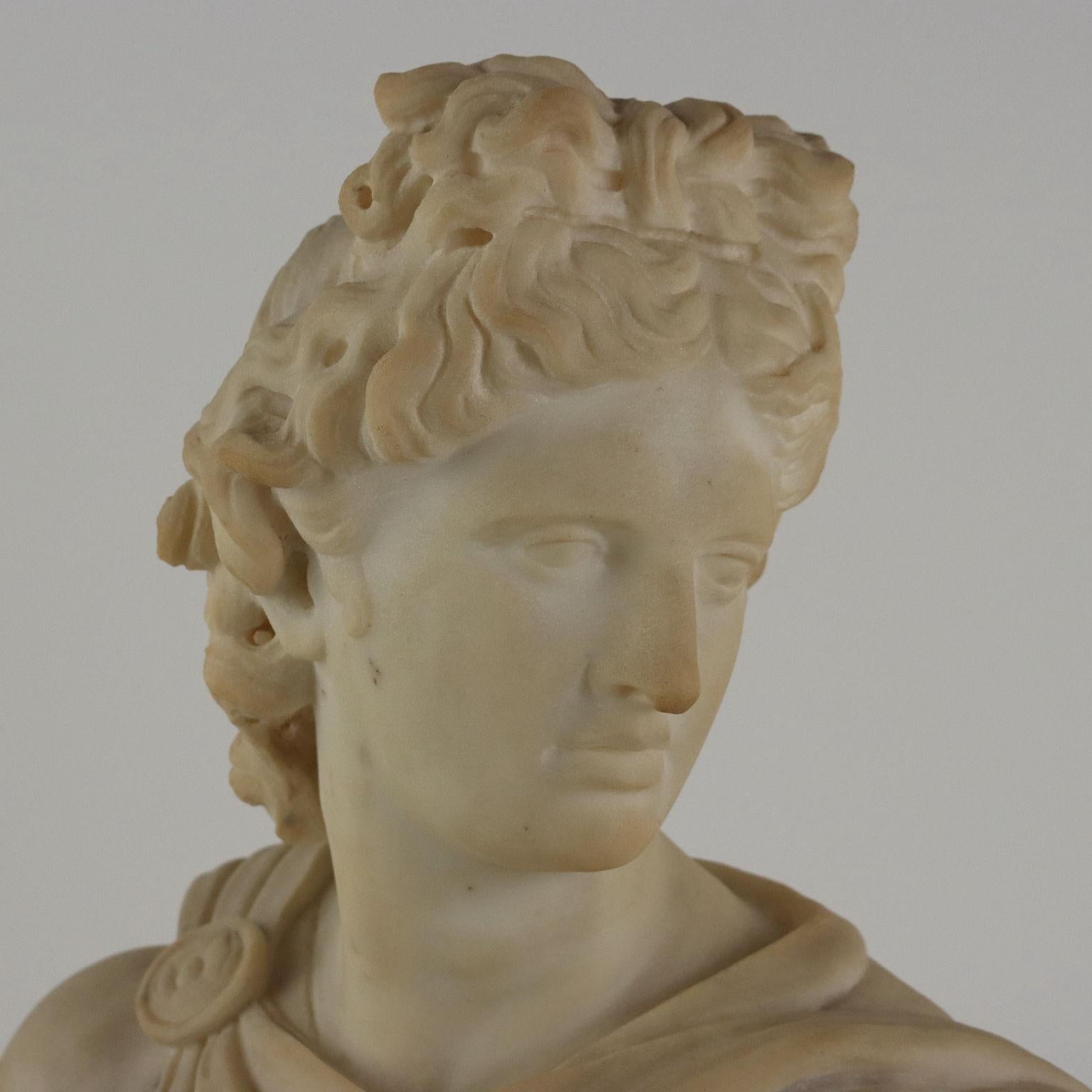Other Apollo del Belvedere Busto in Marmo Italia Fine XIX – Inizio XX Secolo