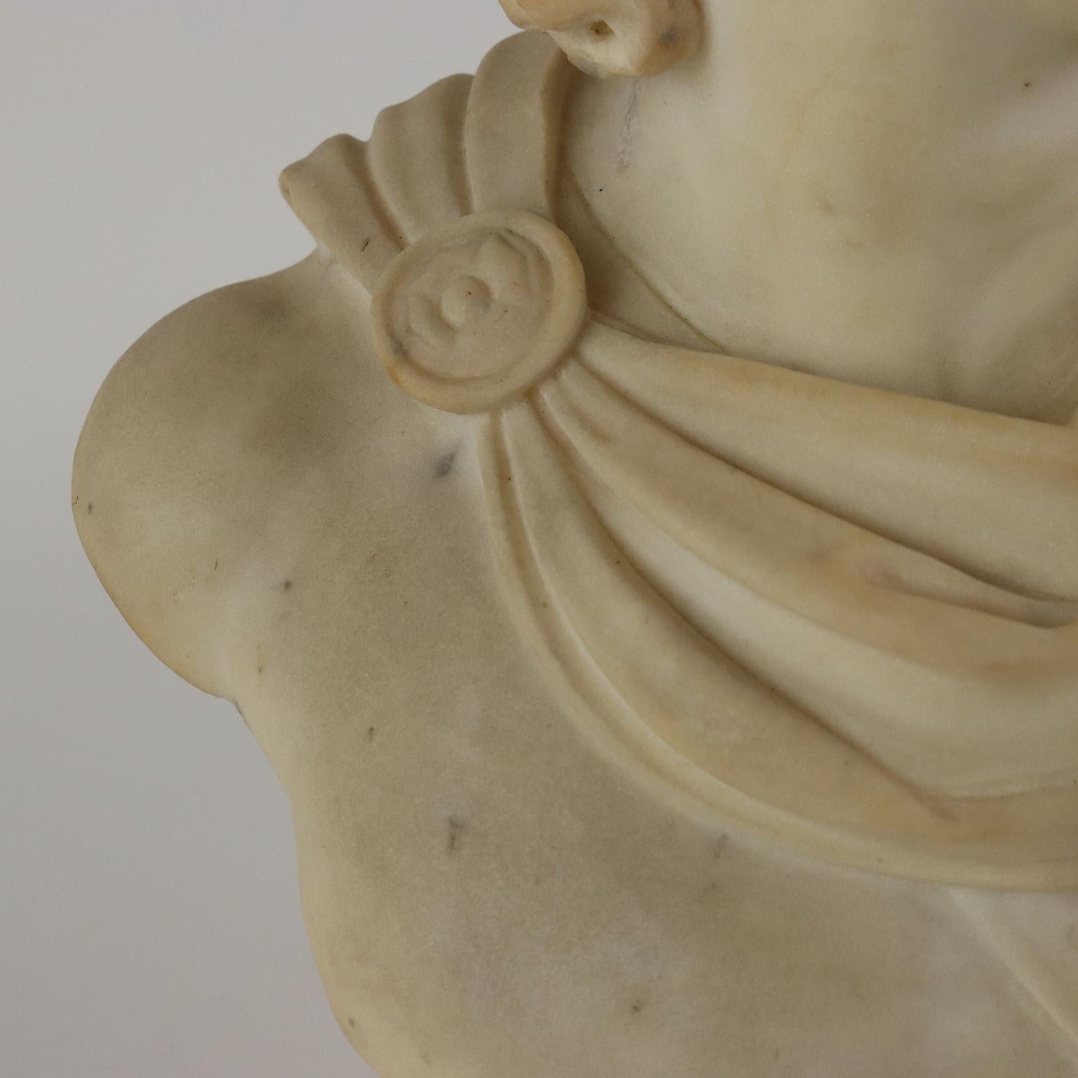 Italian Apollo del Belvedere Busto in Marmo Italia Fine XIX – Inizio XX Secolo