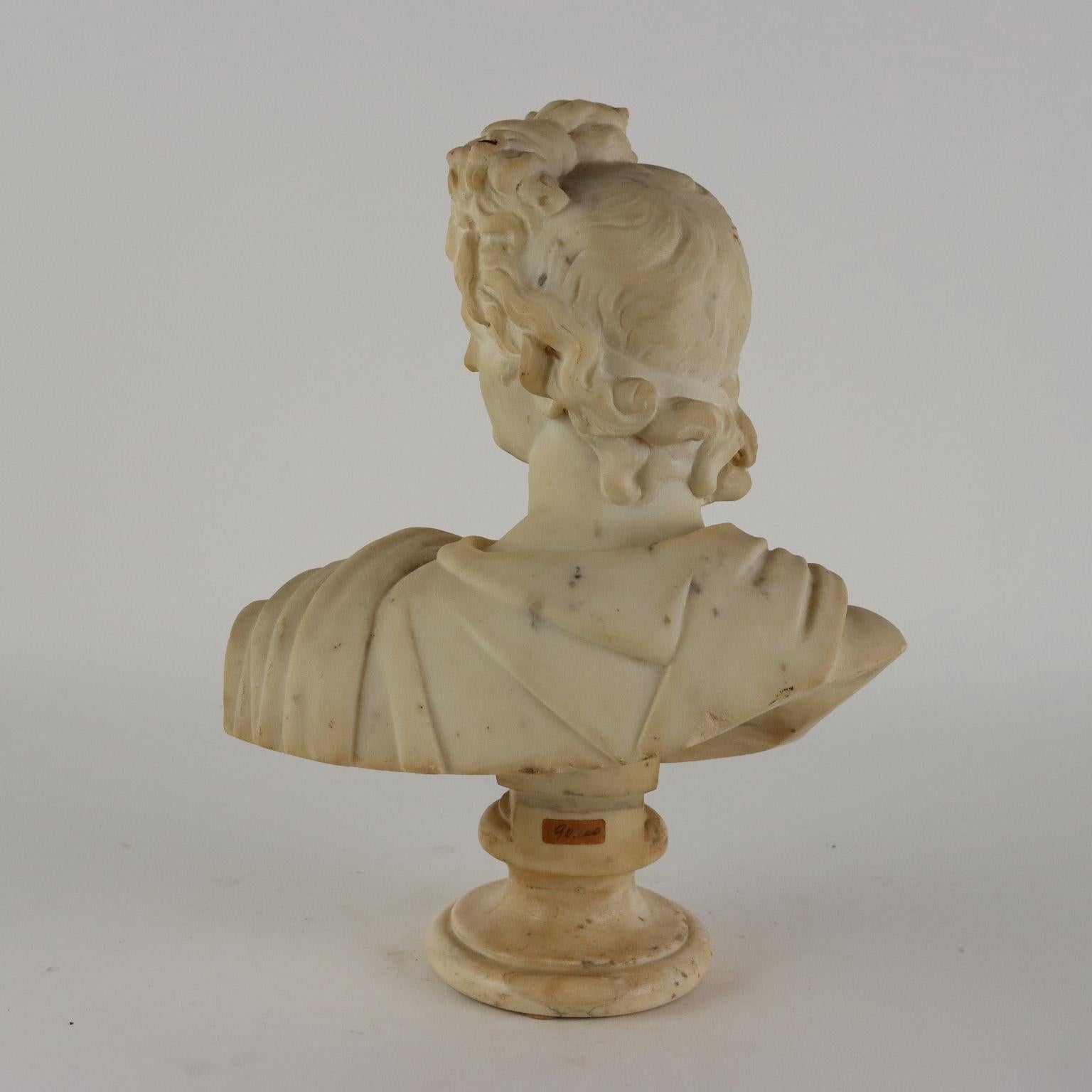 19th Century Apollo del Belvedere Busto in Marmo Italia Fine XIX – Inizio XX Secolo