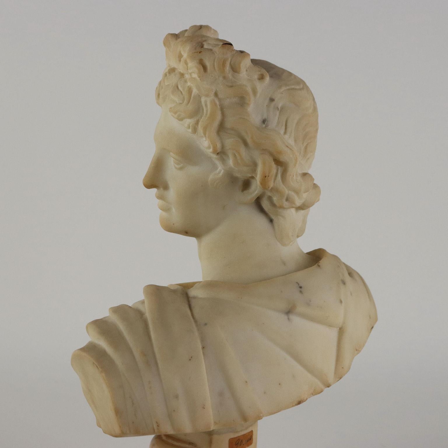 Marble Apollo del Belvedere Busto in Marmo Italia Fine XIX – Inizio XX Secolo