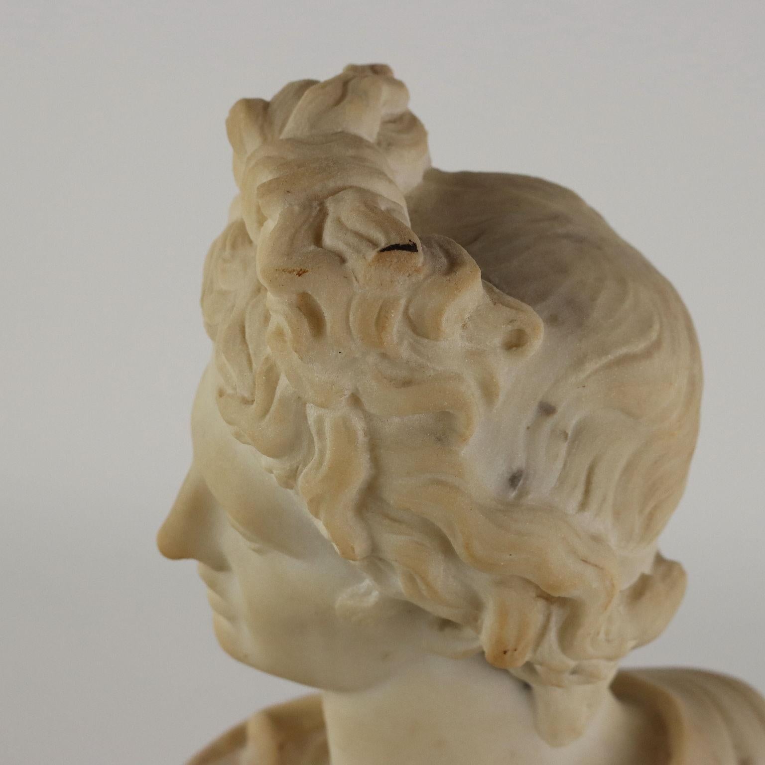 Apollo del Belvedere Busto in Marmo Italia Fine XIX – Inizio XX Secolo 1