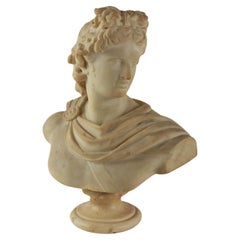 Apollo of Belvedere Bust in Marble Italy Late 19th - Early 20th Century