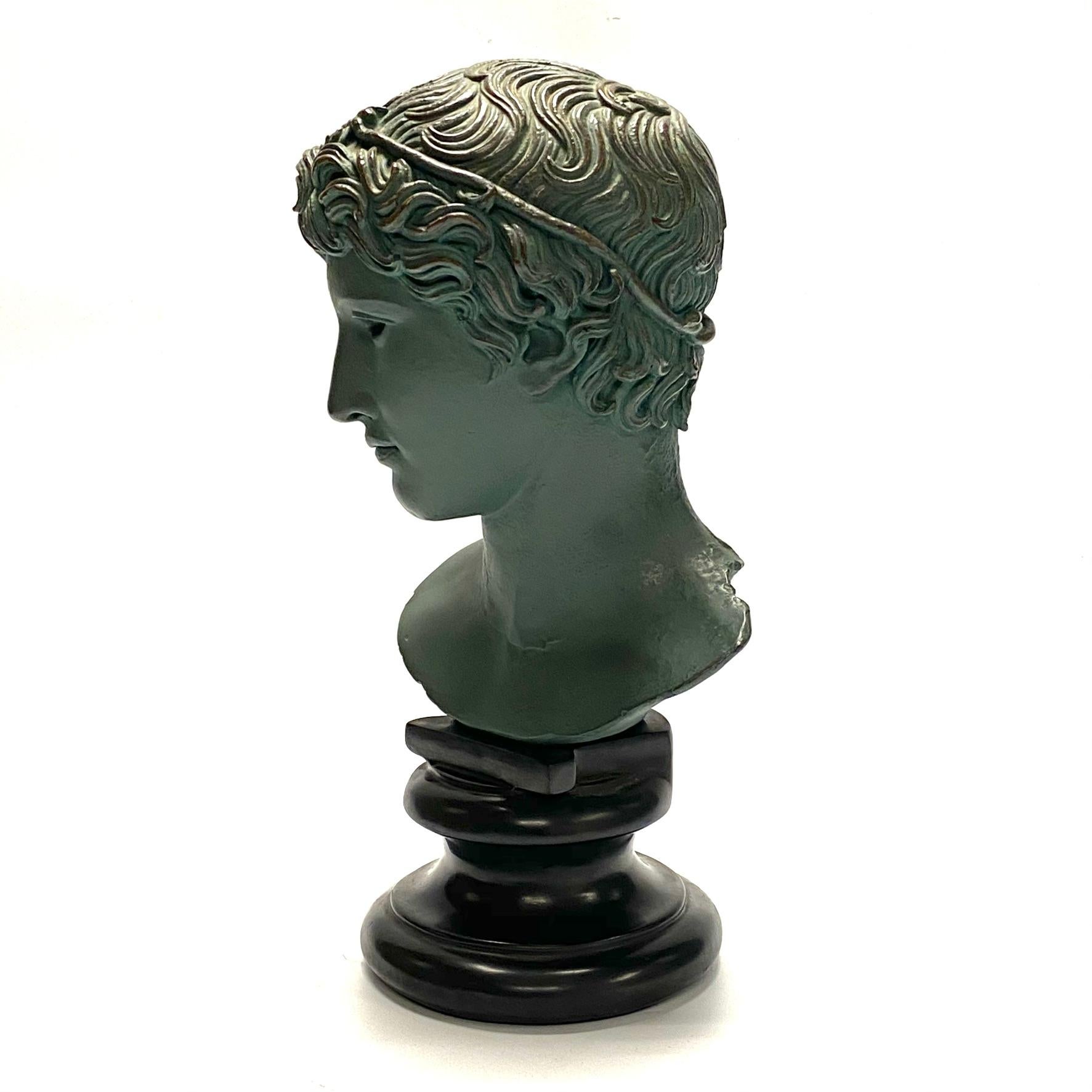 North American Apollo Faux Bronze Museum Replica Bust by Alva Studio