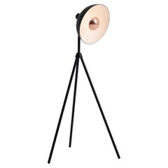 Apollo Floor Lamp, 'Black + Copper'