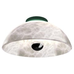 Apollo Freedom Green Metal Ceiling Lamp by Alabastro Italiano