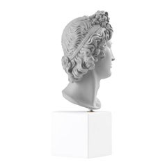 Apollo Head Statue in Grey, Size XL