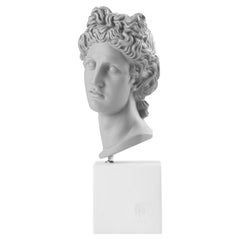 Apollo Head Statue in Grey, Size XL