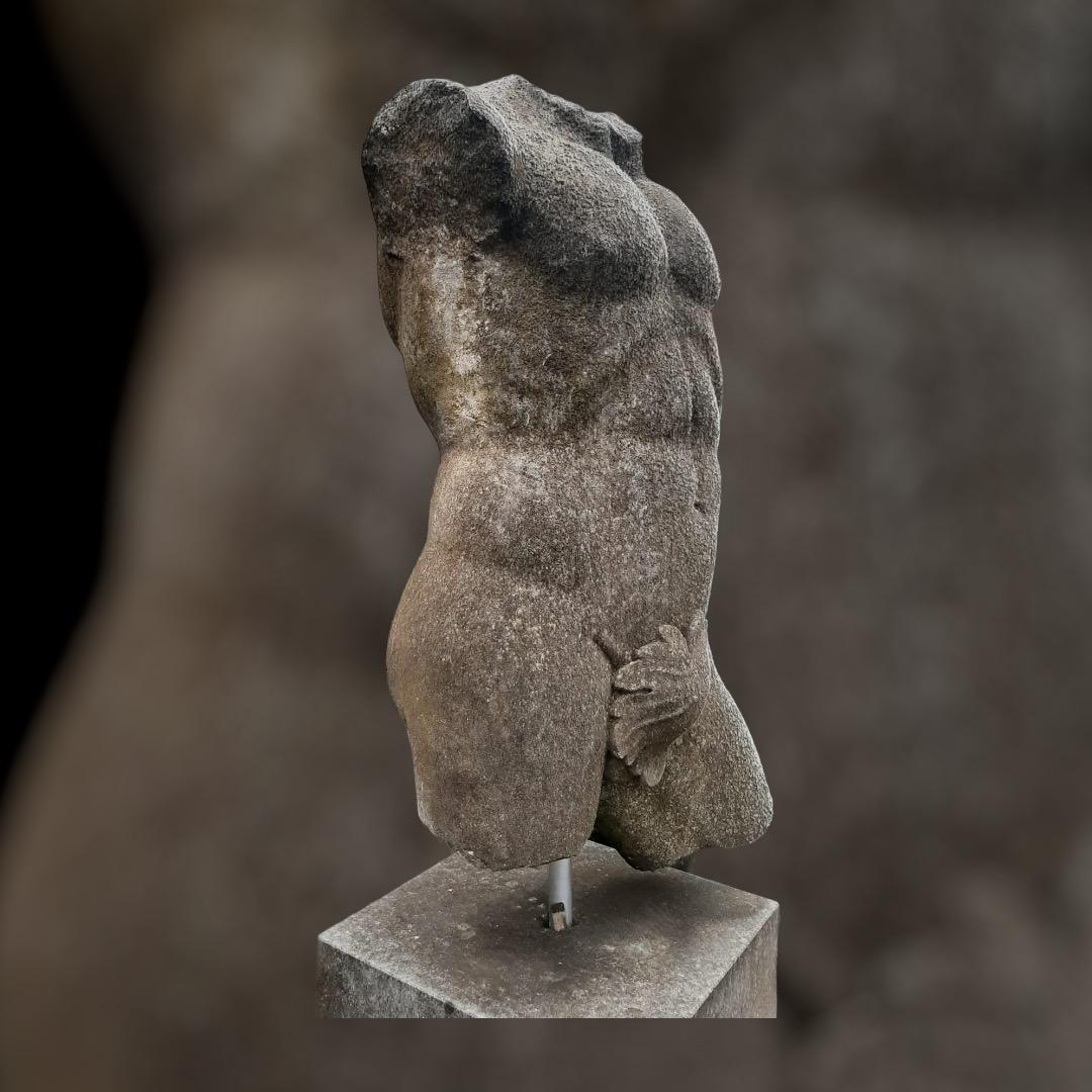 Apollo Scultura in pietra italiana di torso classico con base in vendita 3