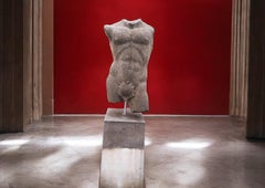 Apolo Escultura italiana de piedra de torso clásico con base