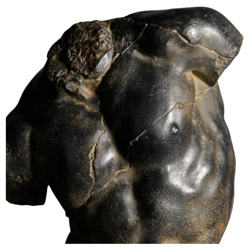 Neoclassical Apollo Torso Small