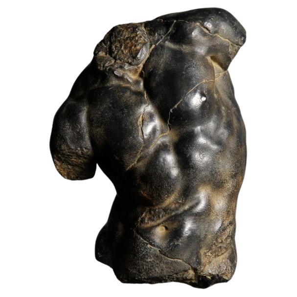 French Apollo Torso Small