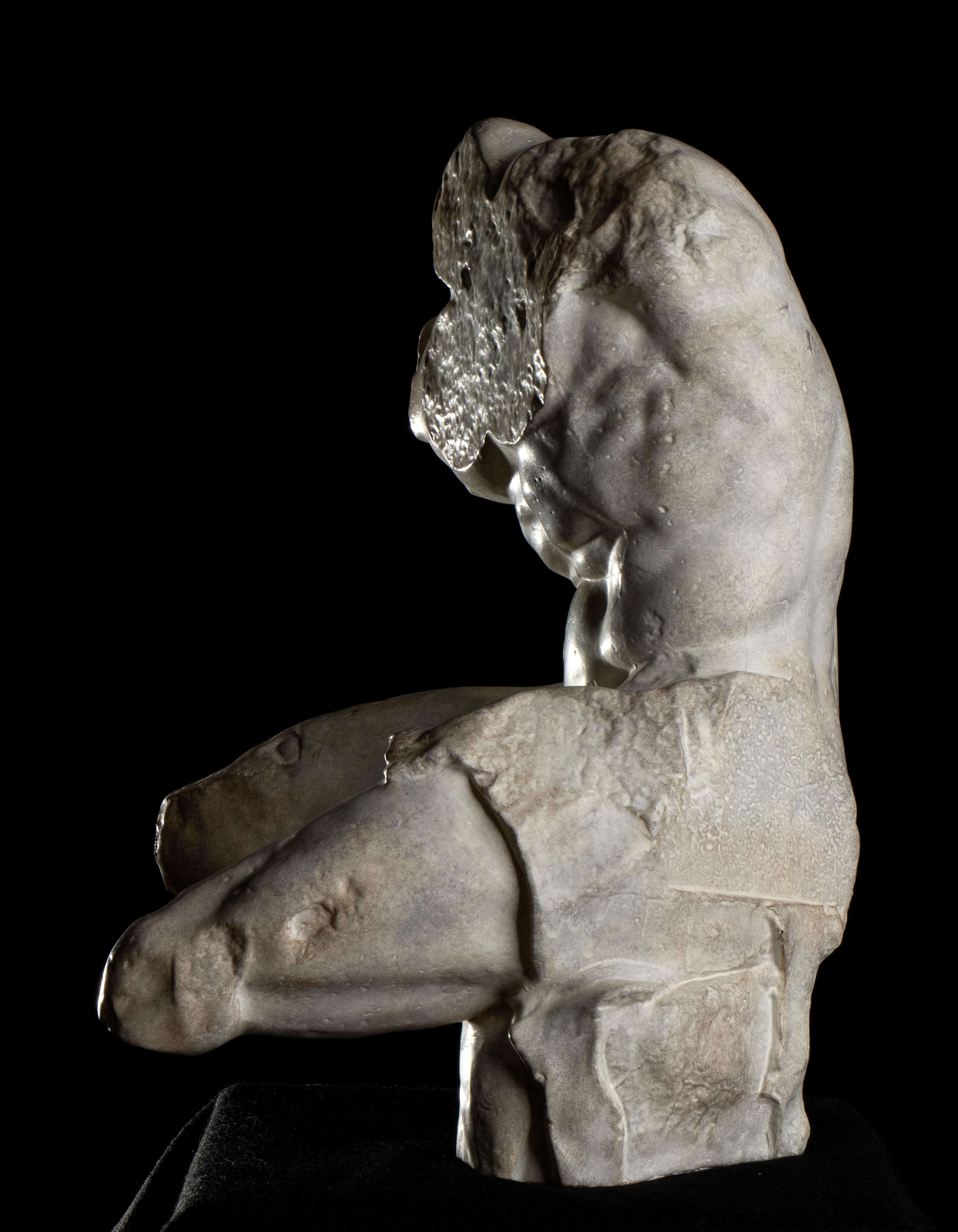 Belvedere Torso Grand Tour Style Figurative Sculpture  Plaster 20th Century 20th - Black Nude Sculpture by Apollonio di Atene