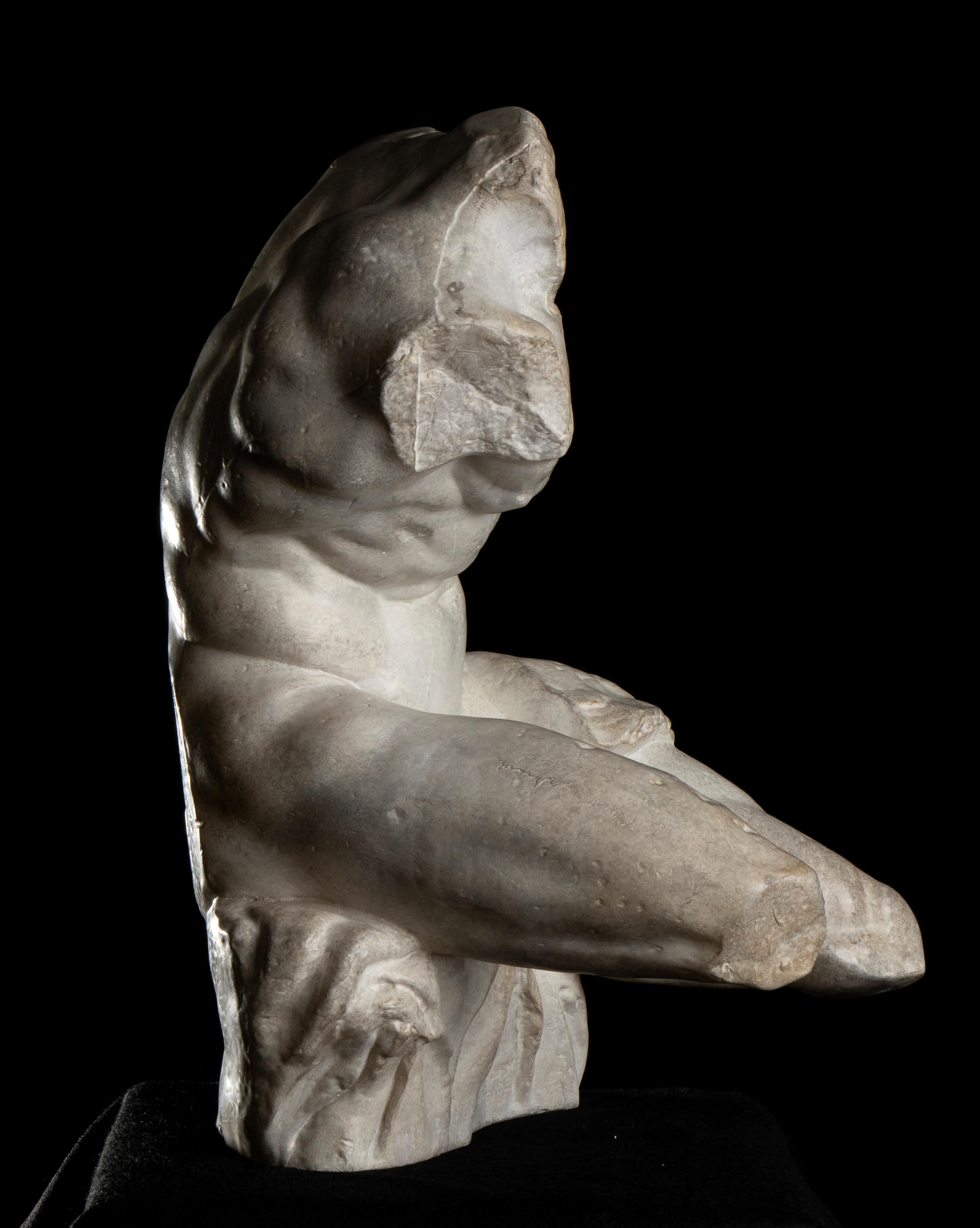 Belvedere Torso Grand Tour Style Figurative Sculpture  Plaster 20th Century 20th 4