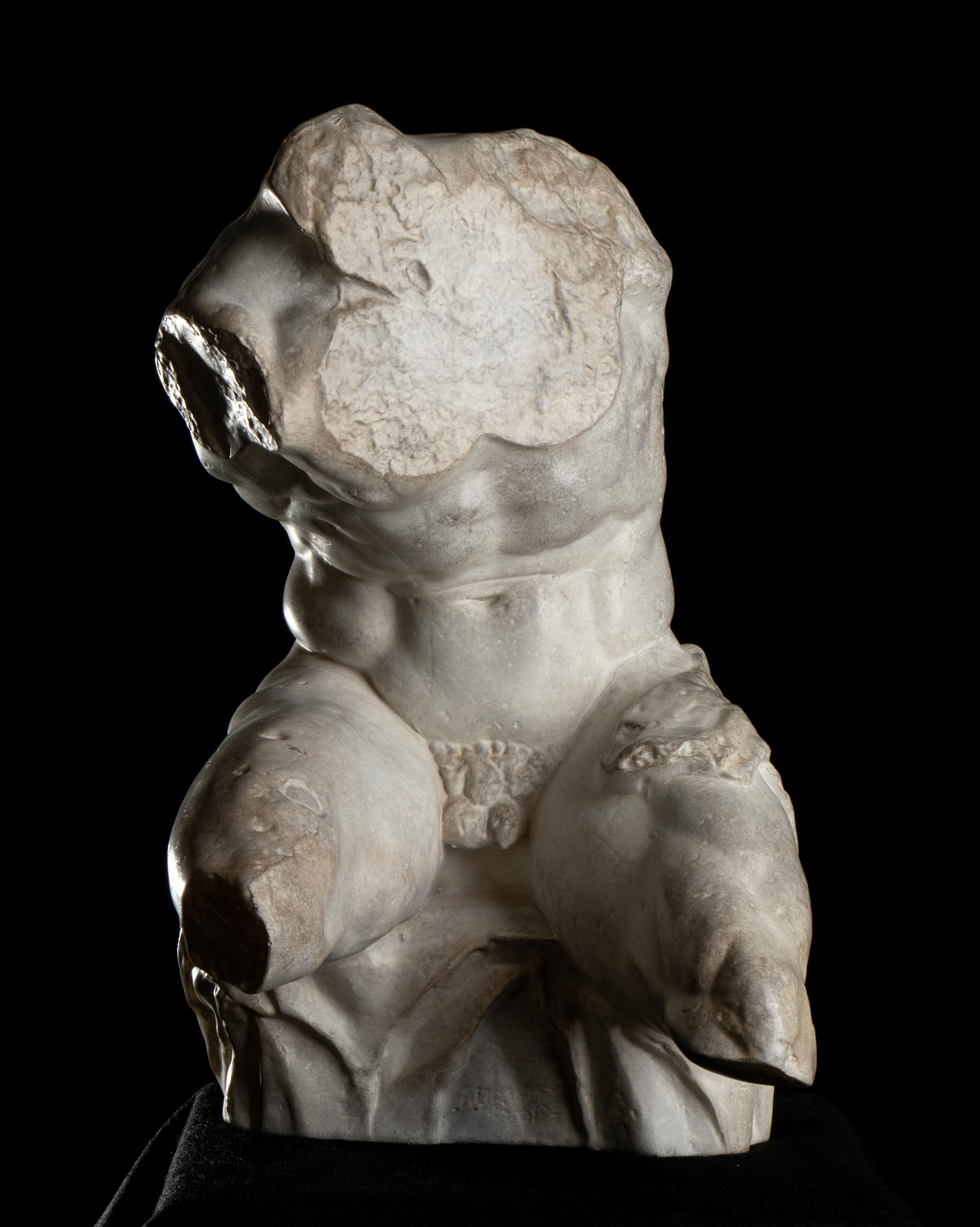 Apollonio di Atene Nude Sculpture - Belvedere Torso Grand Tour Style Figurative Sculpture  Plaster 20th Century 20th