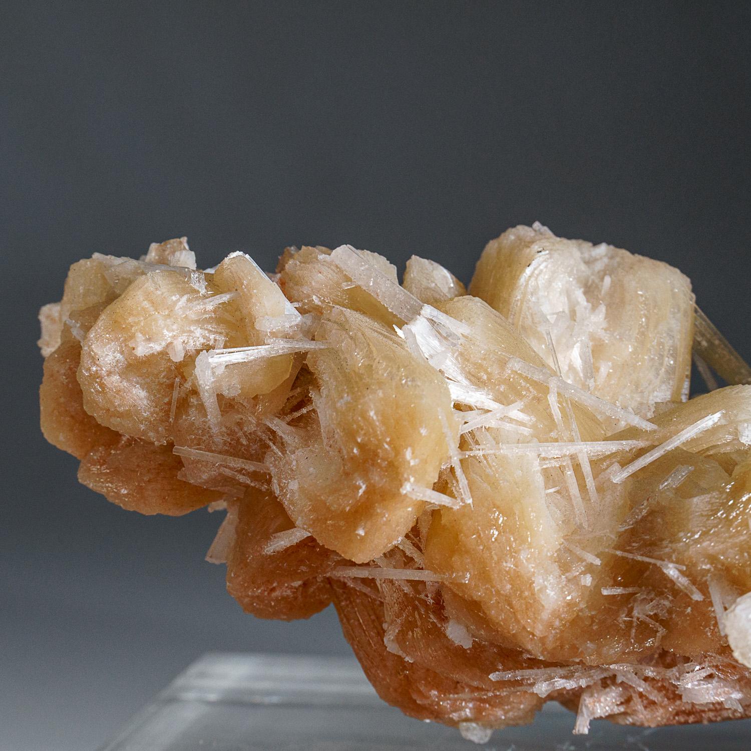 Apophylite and Stilbite with Scolecite from Lonavala Quarry, Pune District, Maha In New Condition For Sale In New York, NY