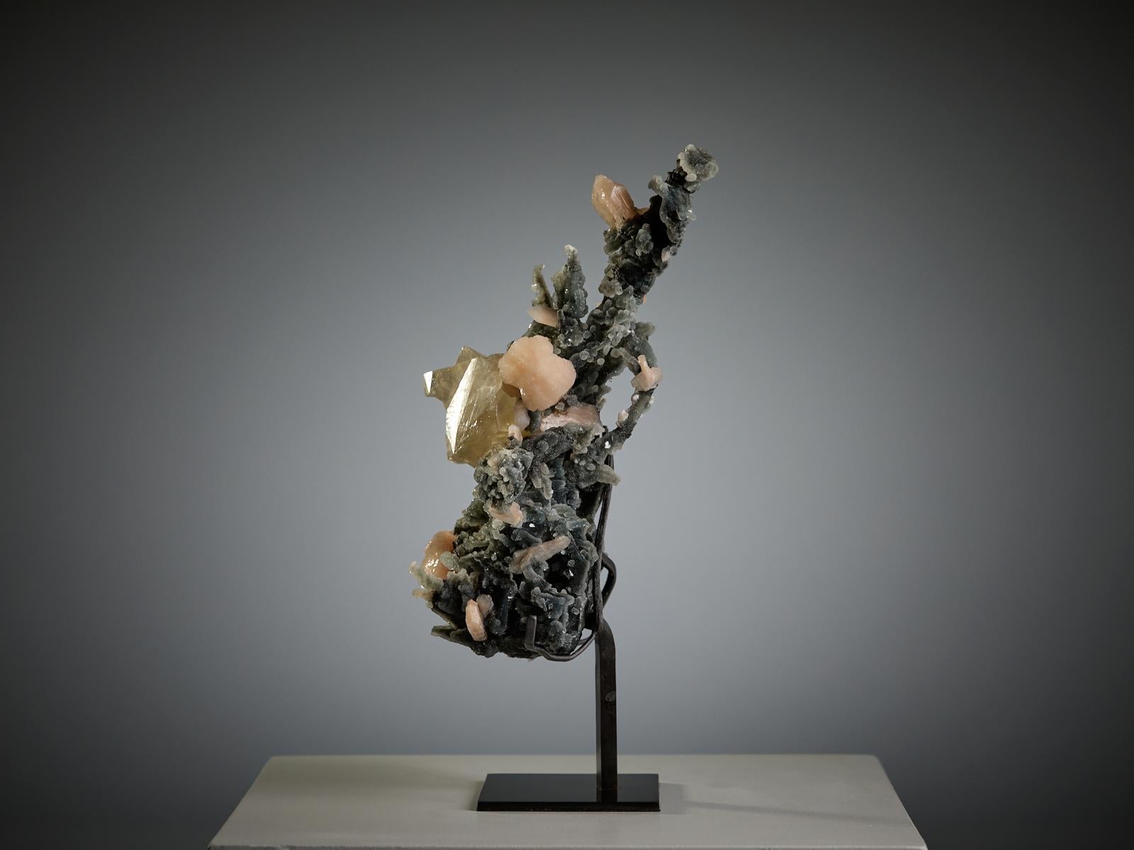 This charming specimen features lustrous apophyllite crystals beautifully set on a bed of dark grey quartz, accented by delicate pink stilbite clusters of varying sizes. The interplay between the soft pastel tones of stilbite, the creamy