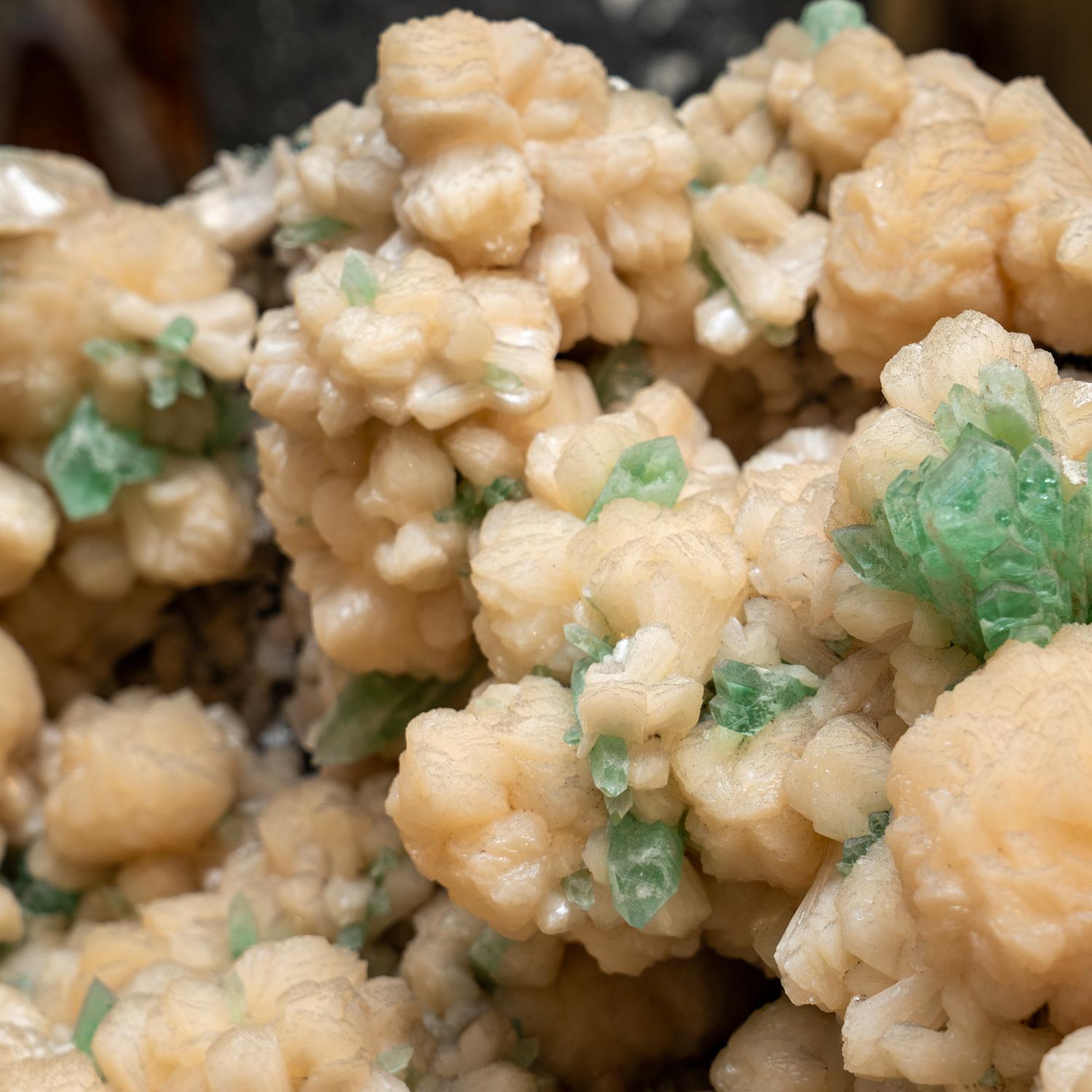 Apophyllite Crystals on Stilbite from India For Sale 1