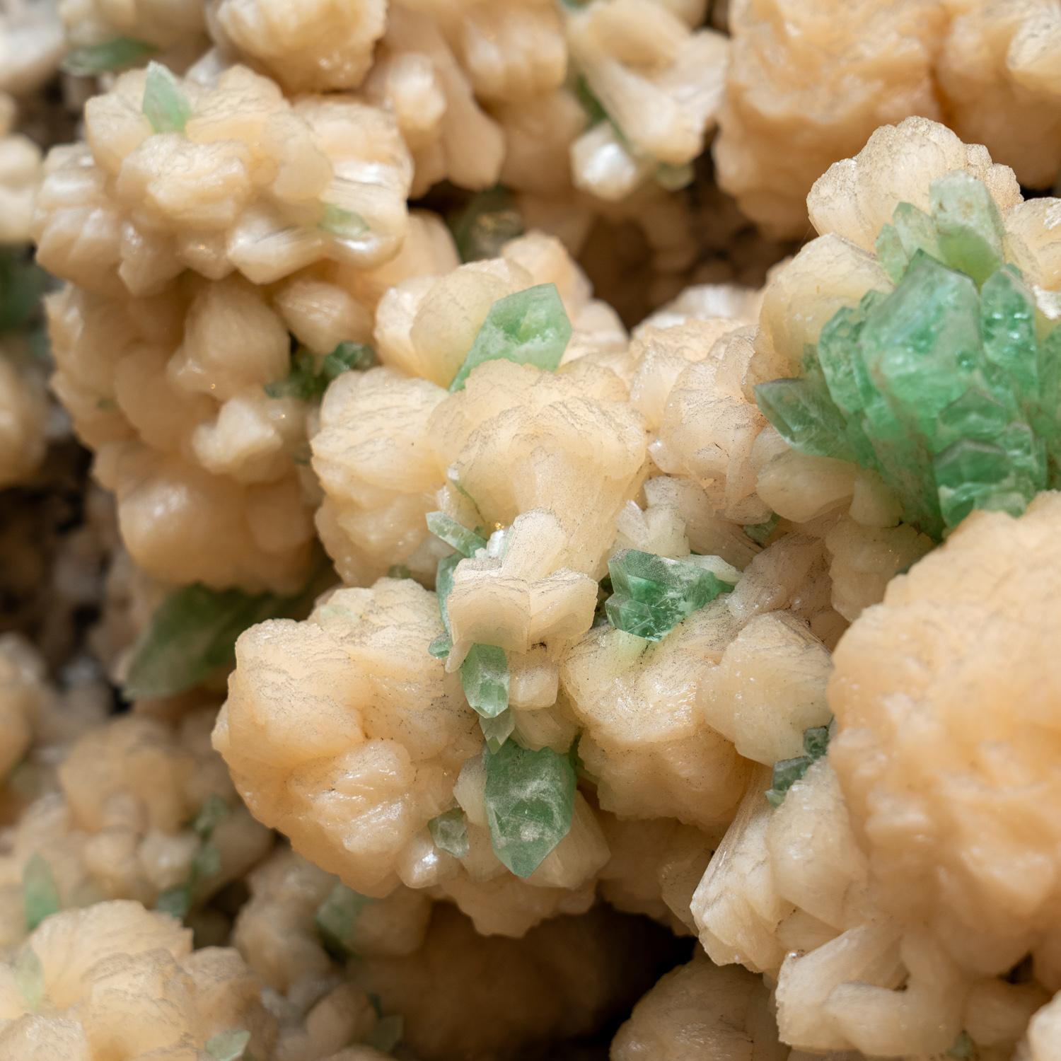 Apophyllite Crystals on Stilbite from India For Sale 2