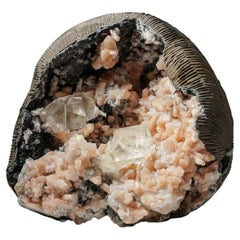 Apophyllit-Geode mit Stilbite und goldenem Calcite aus dem Nasik District, Maharash