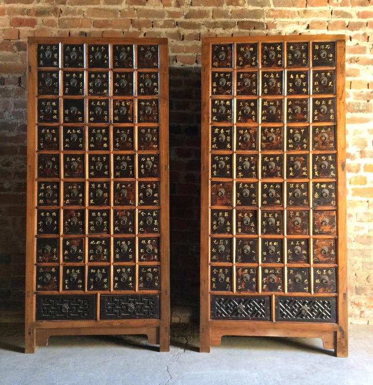 Apothecary Cabinets Elm Haberdashery Qing Dynasty, 19th century For Sale 1