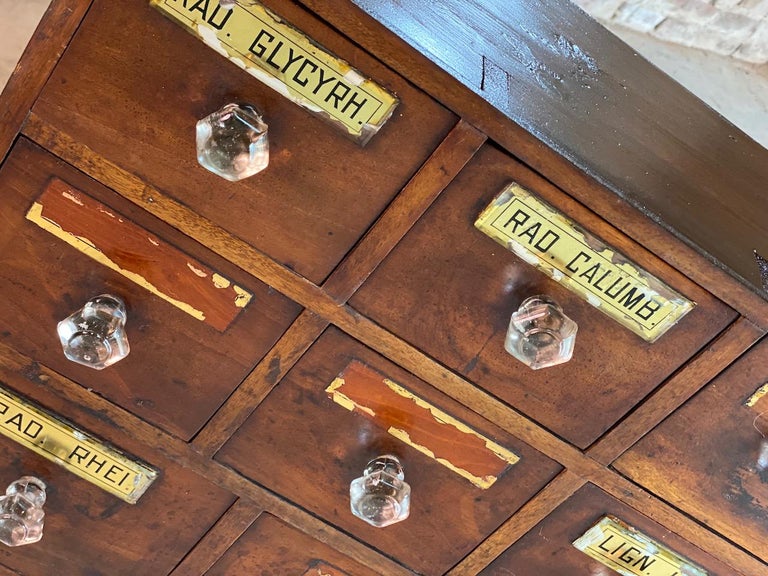 Apothecary Chest of Drawers Chemist Pharmacy Victorian circa 1870 For Sale 1