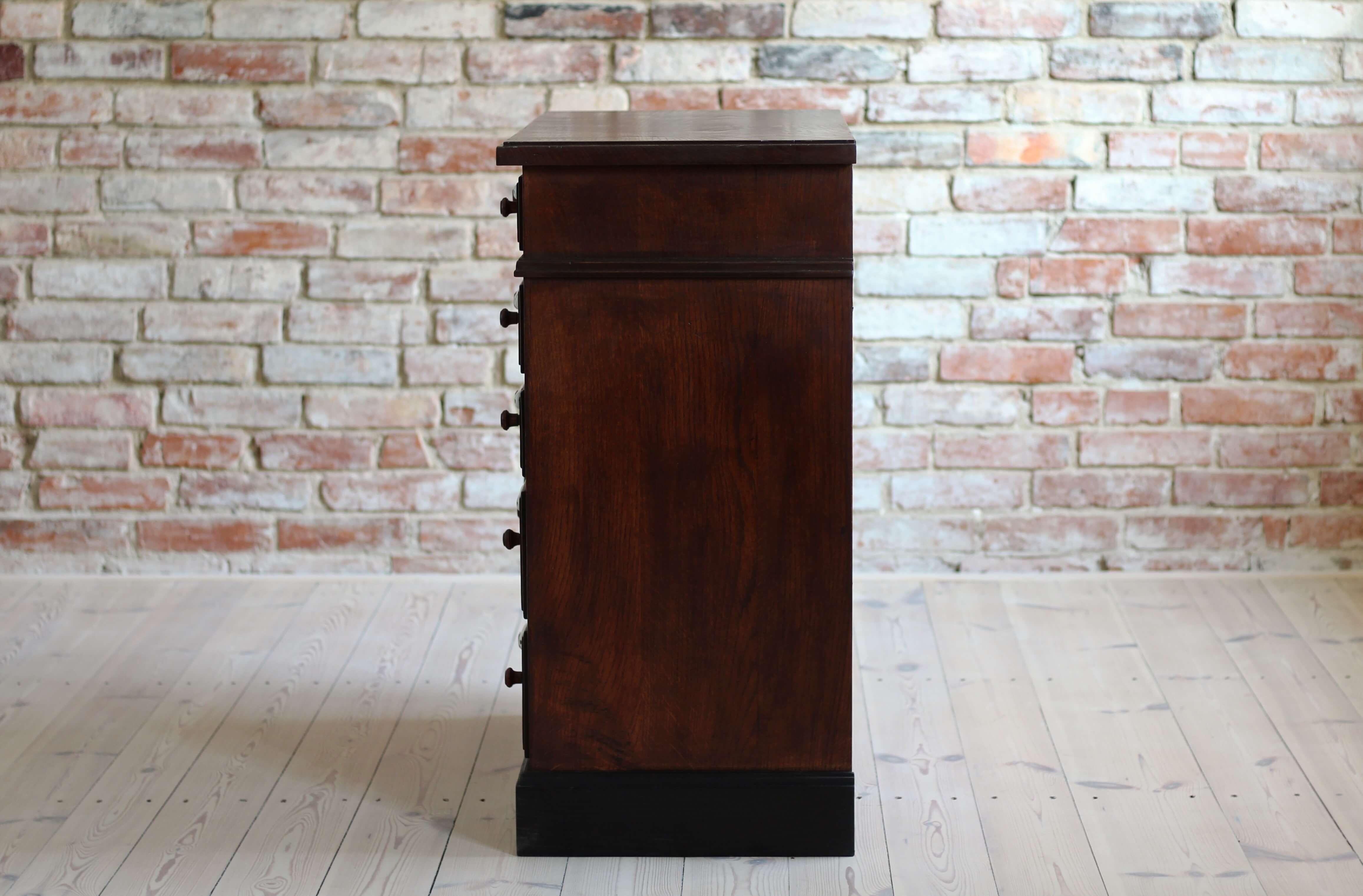 Apothecary Chest of Drawers, Early 20th Century For Sale 1