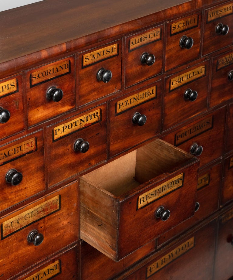 Apothecary Chest of Drawers, England, circa 1890 at 1stDibs