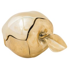 Apple Sculpture by Lucas Recchia, 2023