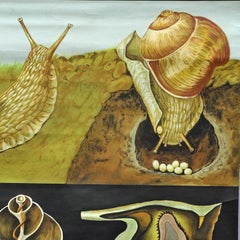 Apple Snail Escargot Jung Koch Quentell Vintage Poster Print Wall Chart